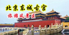浪妇发骚求干屁眼中国北京-东城古宫旅游风景区